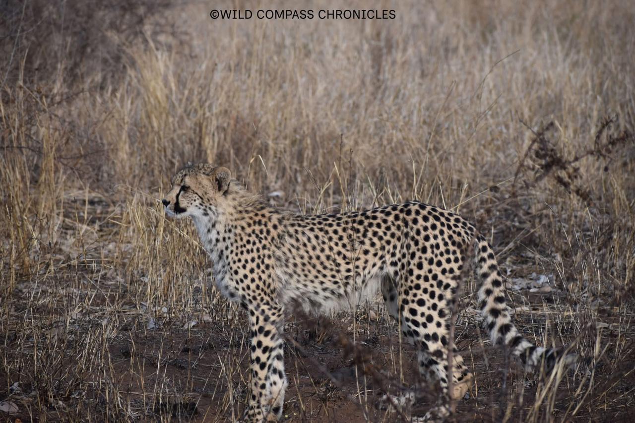 Kruger National Park